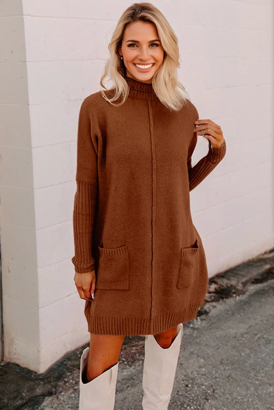 Chestnut Ribbed High Neck Front Pockets Center Seam Shift Sweater Dress image 0